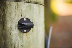 Using the Cordall Anchor Cleat in the vineyard (5)