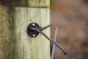 Using the Cordall Anchor Cleat in the vineyard (7)