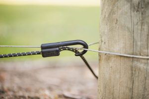 Using the Cordall Permanent Hook in the vineyard (1)