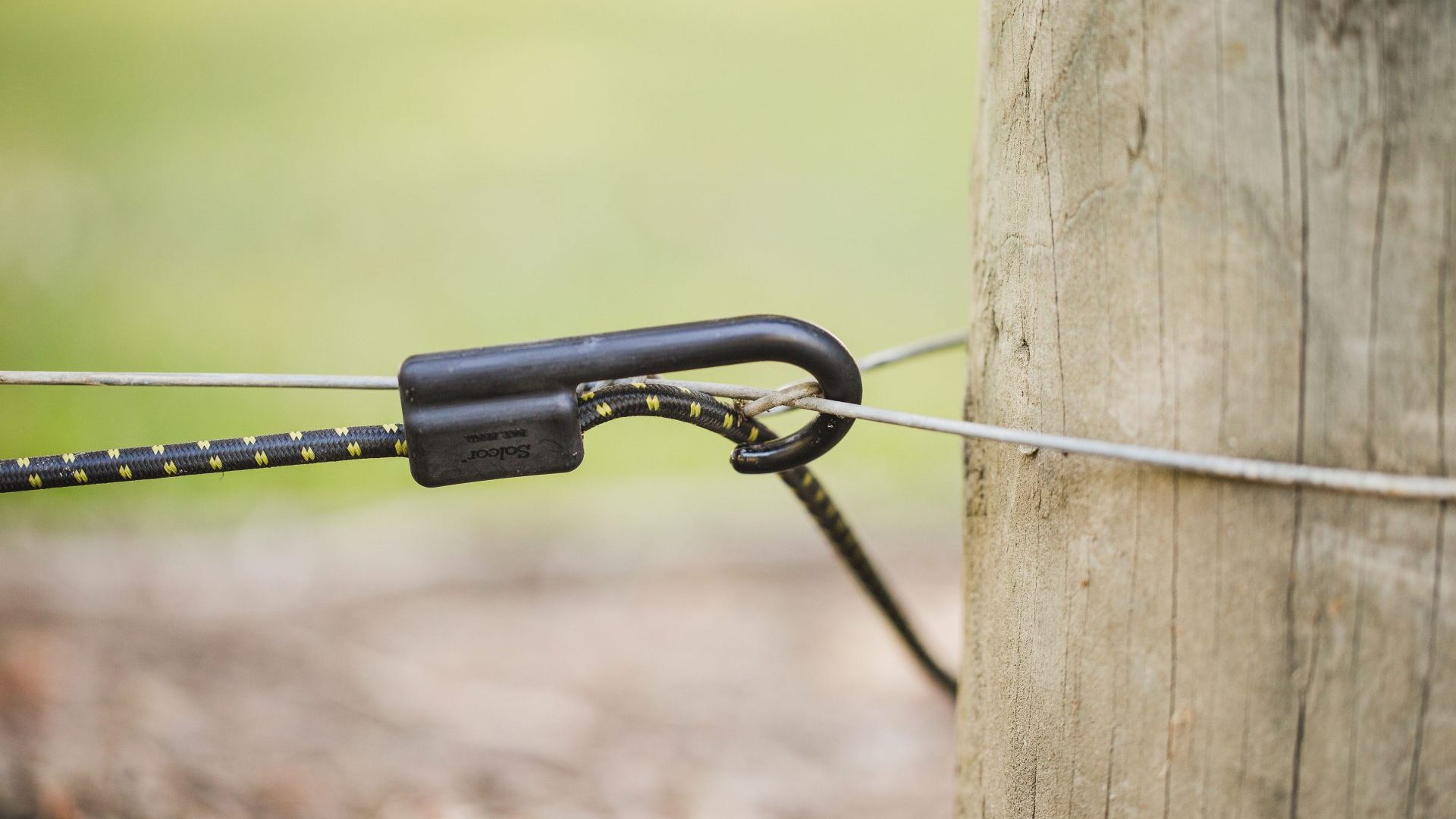 Using the Cordall Permanent Hook in the vineyard (1)
