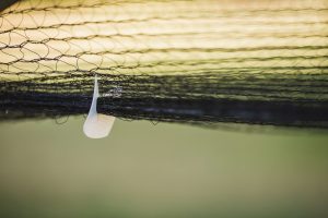 Using Cordall Net Closure Clip in the vineyard (1)