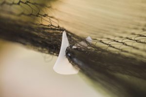 Using Cordall Net Closure Clip in the vineyard (3)