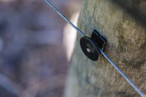 Using Cordall Wire Clip in the vineyard (1)