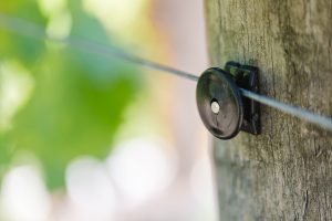 Using Cordall Wire Clip in the vineyard (2)