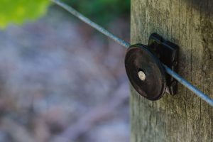 Using Cordall Wire Clip in the vineyard (5)