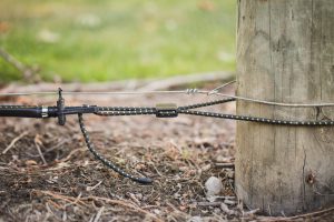 Using the Cordall Permanent Connector in the vineyard (3)