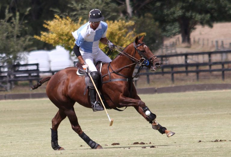 Polo Mallets Cordall